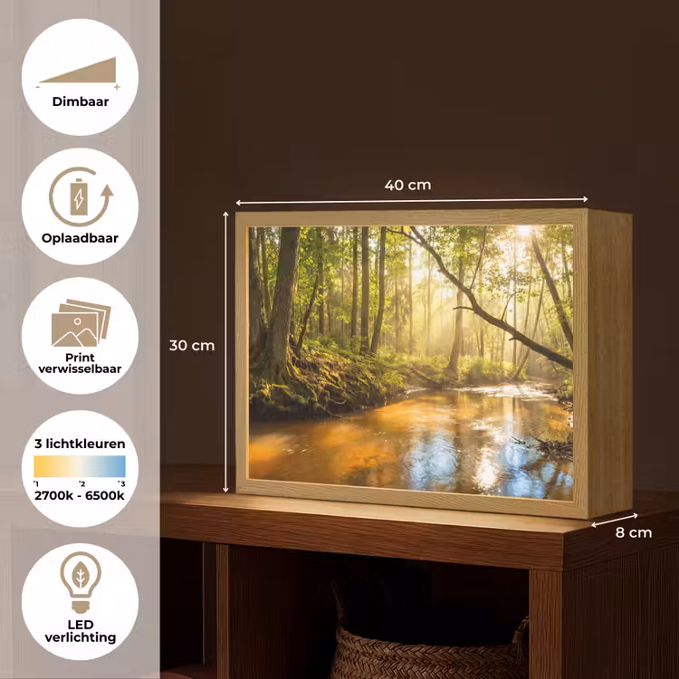 Bos - Beek - Zonlicht - Natuur - Groen Light Box met batterij (Wandlamp) middel -USP_websiteoverzichtNL