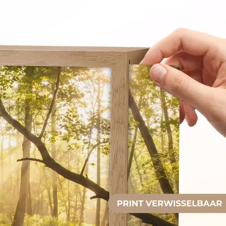 Bos - Beek - Zonlicht - Natuur - Groen Light Box met batterij (Wandlamp) middel -USP_websiteprintNL