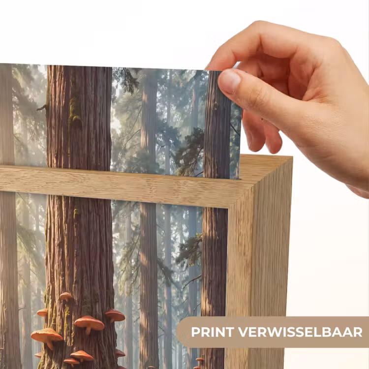 Lightbox - Wandlamp - Bos - Bomen - Natuur - Bos - Bomen - Natuur Light Box met kabel (Wandlamp) klein