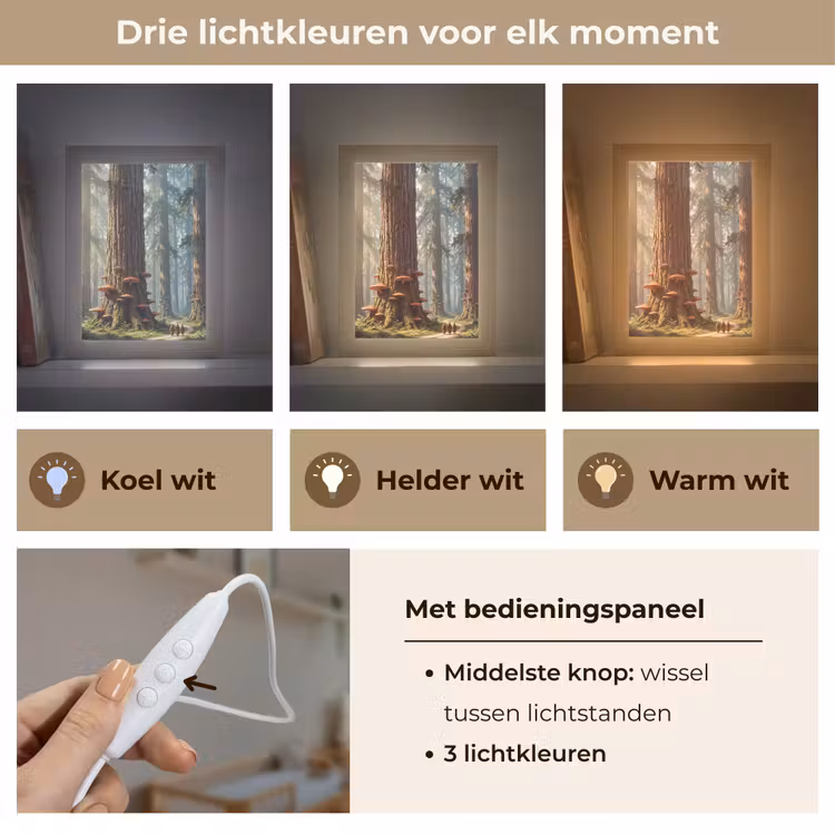 Lightbox - Wandlamp - Bos - Bomen - Natuur - Bos - Bomen - Natuur Light Box met kabel (Wandlamp) klein