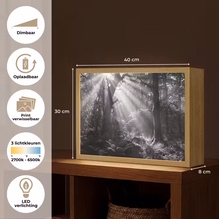 Bos - Lichtstralen - Natuur - Zwart-wit Light Box met batterij (Wandlamp) middel -USP_websiteoverzichtNL