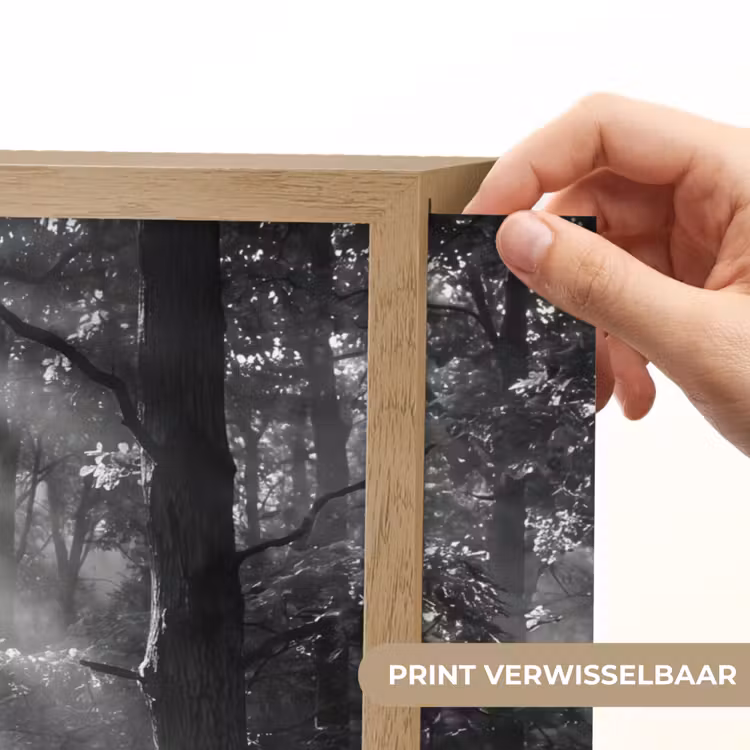 Bos - Lichtstralen - Natuur - Zwart-wit Light Box met batterij (Wandlamp) middel -USP_websiteprintNL