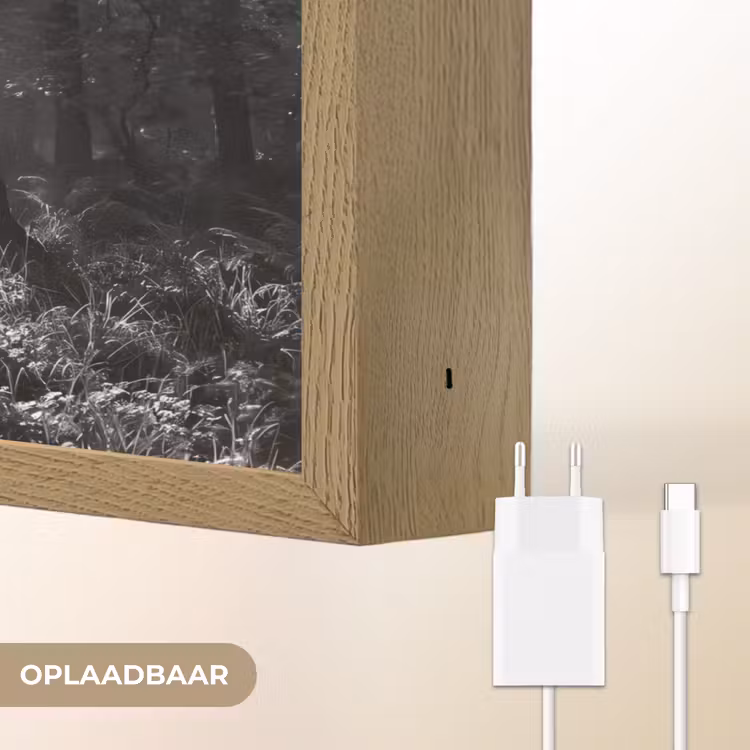 Bos - Lichtstralen - Natuur - Zwart-wit Light Box met batterij (Wandlamp) middel -USP_websiteoplaadbaarNL