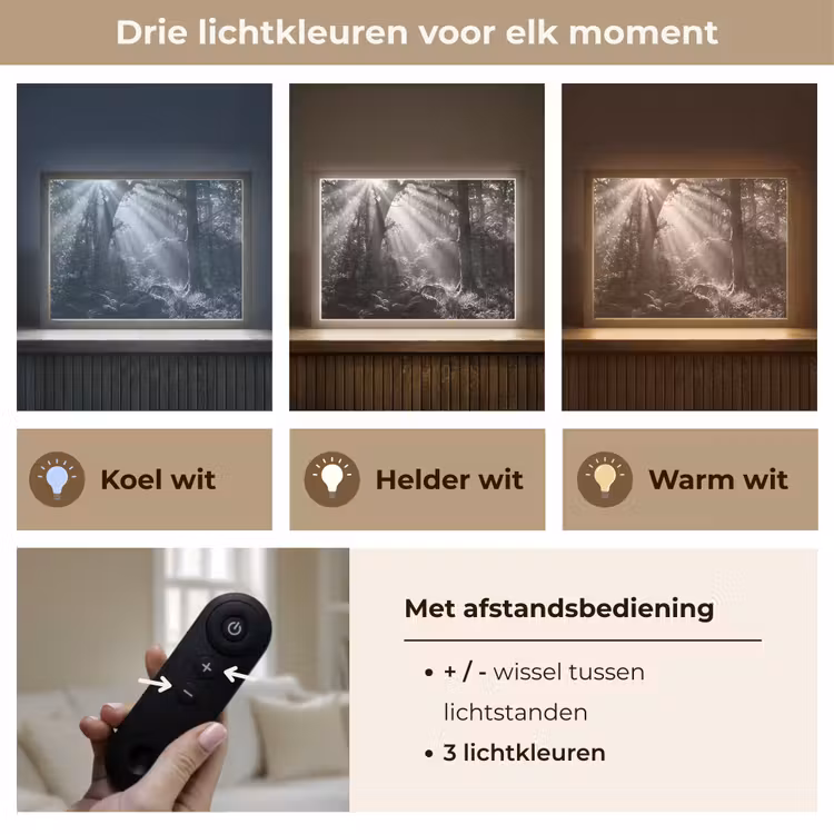 Bos - Lichtstralen - Natuur - Zwart-wit Light Box met batterij (Wandlamp) middel -USP_lichtkleurNL