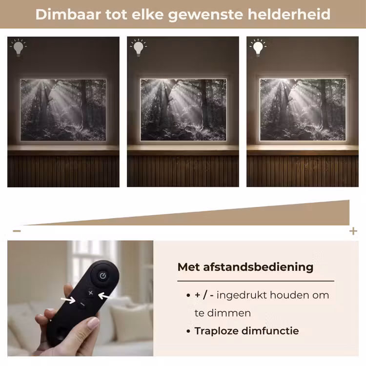 Bos - Lichtstralen - Natuur - Zwart-wit Light Box met batterij (Wandlamp) middel -USP_dimbaarNL