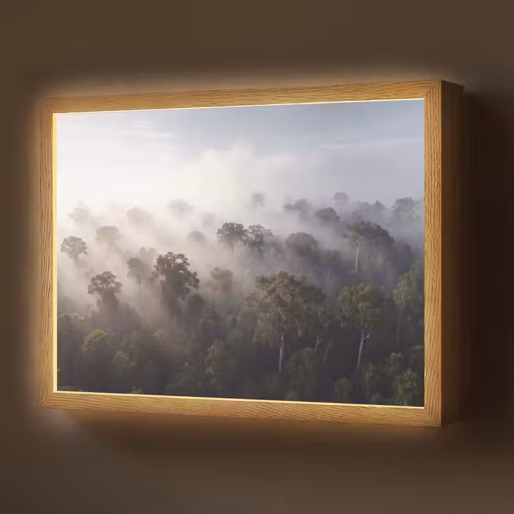 Bos - Mist - Natuur - Groen Light Box met batterij (Wandlamp) middel -z3d_website