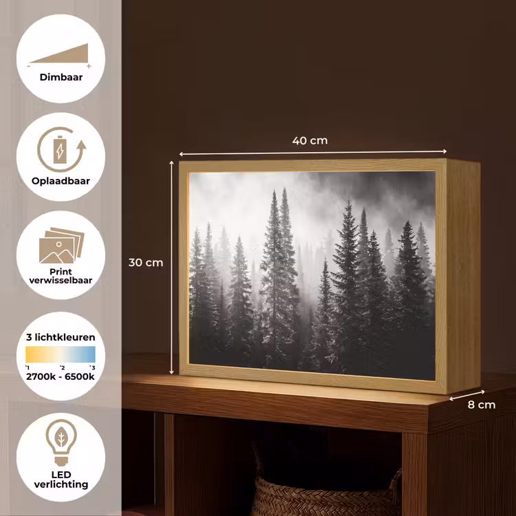 Bos - Mist - Winter - Monochroom - Natuur Light Box met batterij (Wandlamp) middel -USP_websiteoverzichtNL