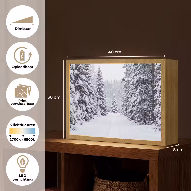 Bos - Winter - Sneeuw - Pad - Natuur Light Box met batterij (Wandlamp) middel -USP_websiteoverzichtNL