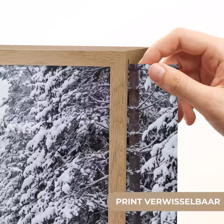 Bos - Winter - Sneeuw - Pad - Natuur Light Box met batterij (Wandlamp) middel -USP_websiteprintNL