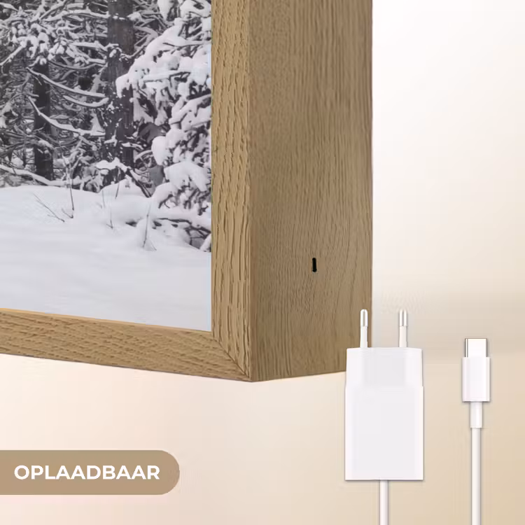 Bos - Winter - Sneeuw - Pad - Natuur Light Box met batterij (Wandlamp) middel -USP_websiteoplaadbaarNL