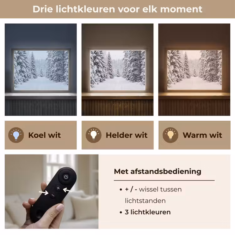 Bos - Winter - Sneeuw - Pad - Natuur Light Box met batterij (Wandlamp) middel -USP_lichtkleurNL