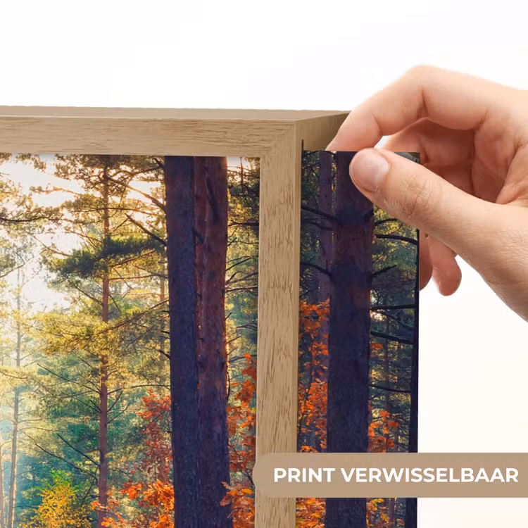 Bos - Zon - Natuur - Herfst Light Box met batterij (Wandlamp) middel -USP_websiteprintNL