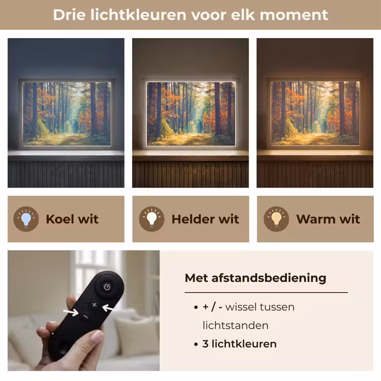 Bos - Zon - Natuur - Herfst Light Box met batterij (Wandlamp) middel -USP_lichtkleurNL
