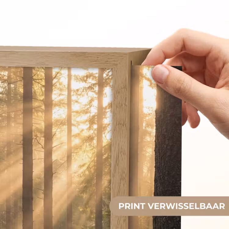 Bos - Zonlicht - Gras Light Box met batterij (Wandlamp) middel -USP_websiteprintNL