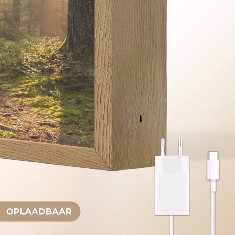 Bos - Zonlicht - Gras Light Box met batterij (Wandlamp) middel -USP_websiteoplaadbaarNL