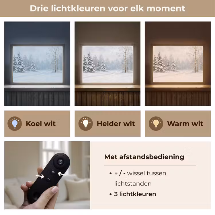 Bospad - Dennen - Sneeuw - Winter - Rustgevend Light Box met batterij (Wandlamp) middel -USP_lichtkleurNL