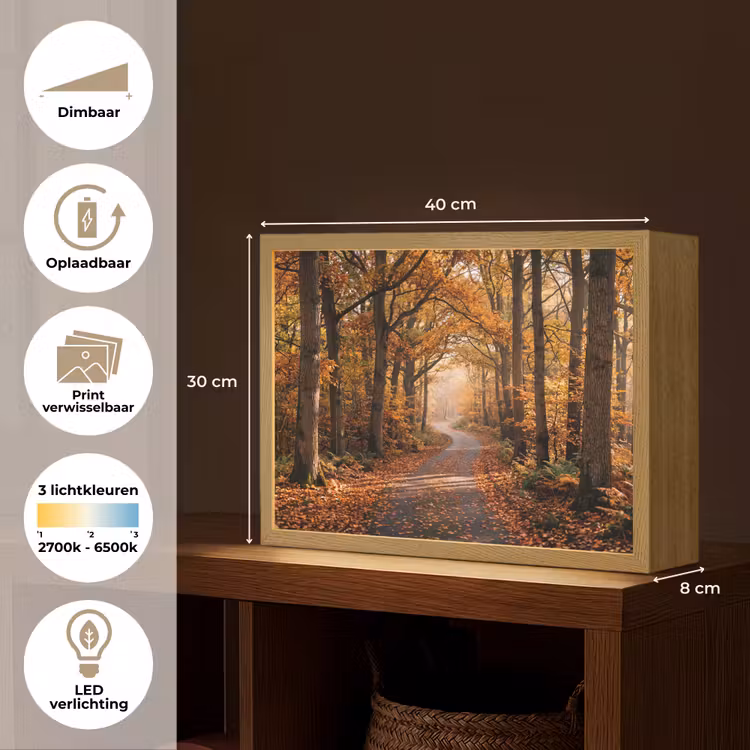 Bospad - Herfstbos - Bladeren - Oranje - Nostalgisch Light Box met batterij (Wandlamp) middel -USP_websiteoverzichtNL