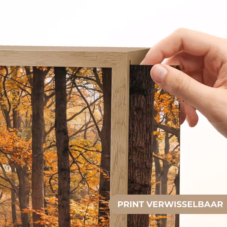 Bospad - Herfstbos - Bladeren - Oranje - Nostalgisch Light Box met batterij (Wandlamp) middel -USP_websiteprintNL