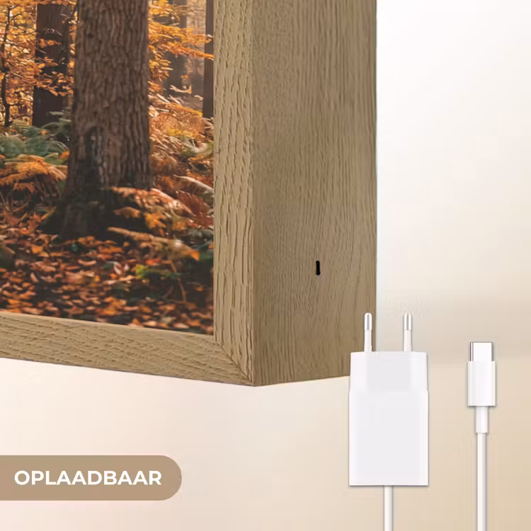 Bospad - Herfstbos - Bladeren - Oranje - Nostalgisch Light Box met batterij (Wandlamp) middel -USP_websiteoplaadbaarNL