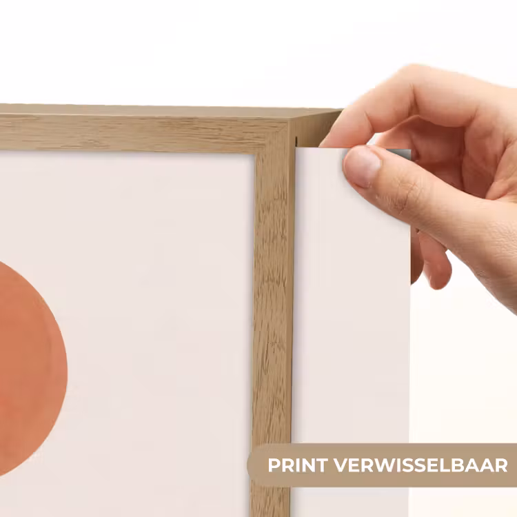 Cactus - Duinen - Modern - Landschap - Groen Light Box met batterij (Wandlamp) middel -USP_websiteprintNL