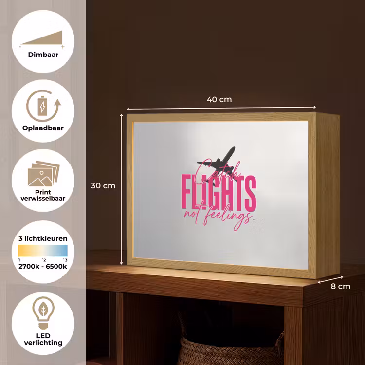 Catch flights not feelings - Vliegtuig - Roze Light Box met batterij (Wandlamp) middel -USP_websiteoverzichtNL