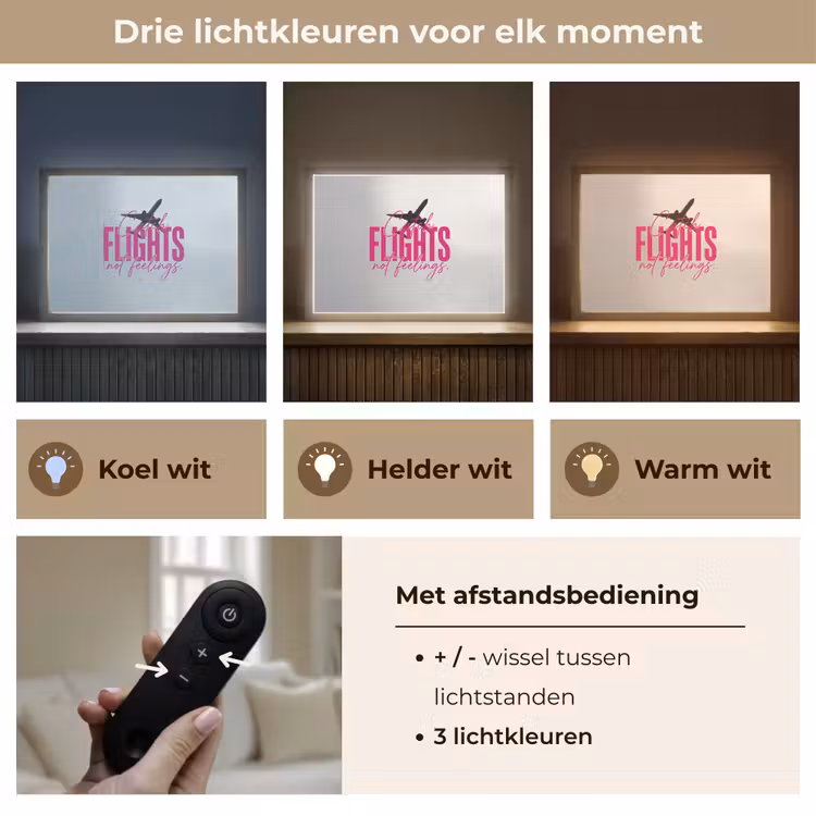 Catch flights not feelings - Vliegtuig - Roze Light Box met batterij (Wandlamp) middel -USP_lichtkleurNL