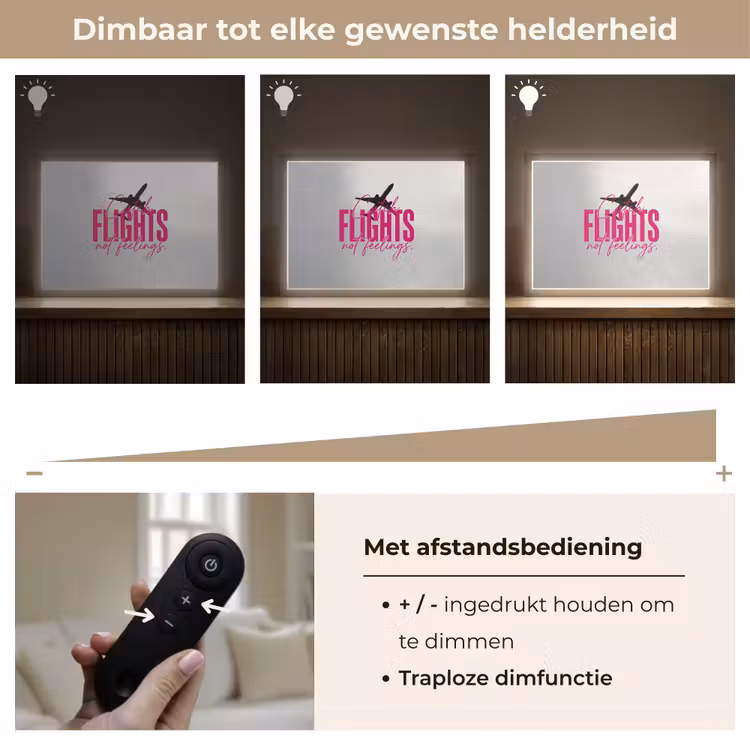 Catch flights not feelings - Vliegtuig - Roze Light Box met batterij (Wandlamp) middel -USP_dimbaarNL