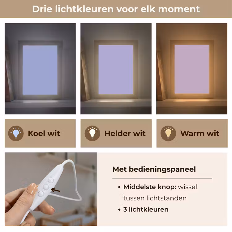 Ceil - Paars - Lila Light Box met kabel (Wandlamp) klein 929 -USP_lichtkleurNL