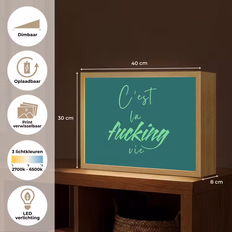 c'est la fucking vie - Groen - Handgeschreven Light Box met batterij (Wandlamp) middel -USP_websiteoverzichtNL