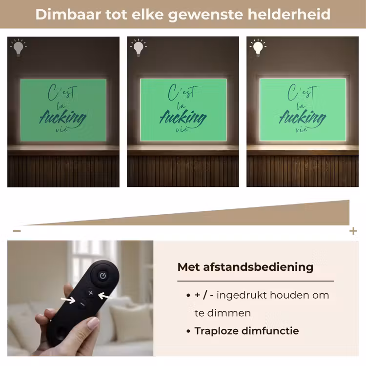 c'est la fucking vie - Groen - Penseelstijl Light Box met batterij (Wandlamp) middel -USP_dimbaarNL