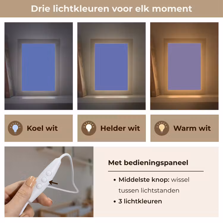 Chinese - Blue - Blauw Light Box met kabel (Wandlamp) klein 929 -USP_lichtkleurNL