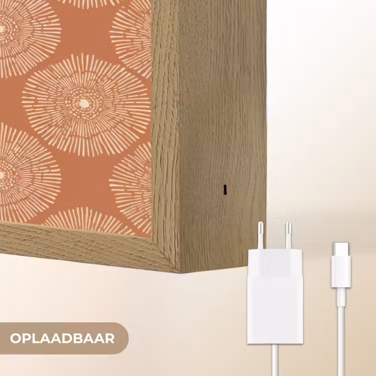 Cirkels - Grafisch - Patroon - Terracotta Light Box met batterij (Wandlamp) middel 907 -USP_websiteoplaadbaarNL