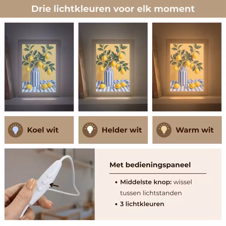 Lightbox - Wandlamp - Citroen - Stilleven - Modern - Citroen - Stilleven - Modern Light Box met kabel (Wandlamp) klein
