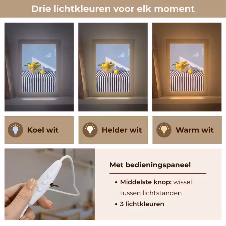 Lightbox - Wandlamp - Citroenen - Fruit - Geel - Citroenen - Fruit - Geel Light Box met kabel (Wandlamp) klein