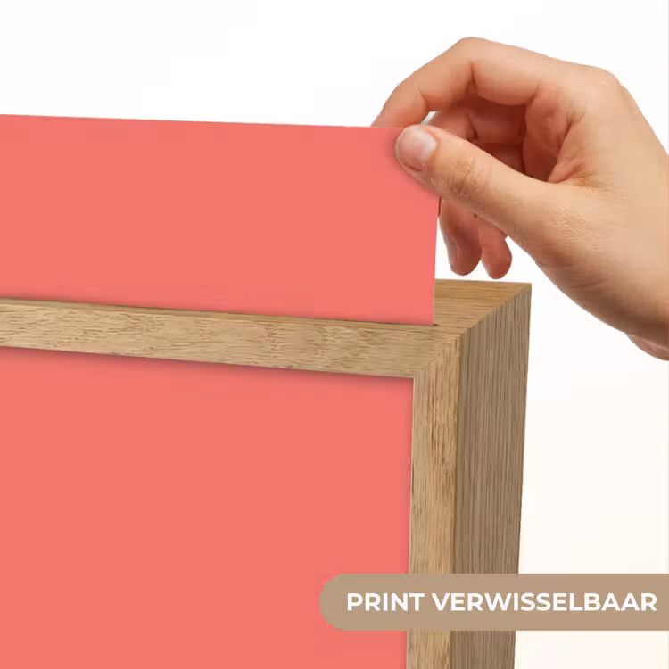 Coral - Punch - Koraal Light Box met kabel (Wandlamp) klein 929 -USP_websiteprintNL