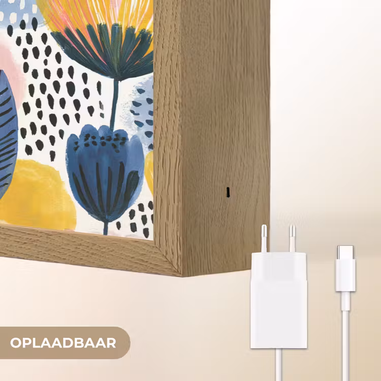 Creatief - Patroon - Kleurrijk Light Box met batterij (Wandlamp) middel 907 -USP_websiteoplaadbaarNL