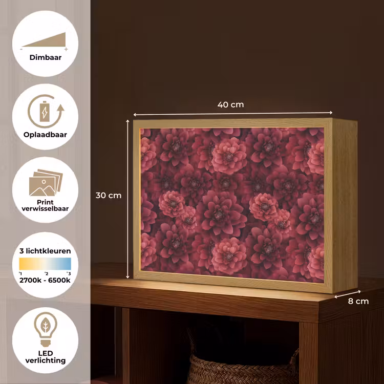 Dahlias - Bloemen - Rood Light Box met batterij (Wandlamp) middel 907 -USP_websiteoverzichtNL