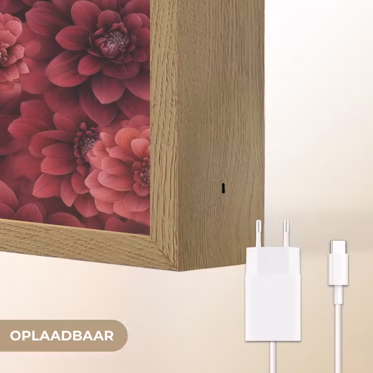 Dahlias - Bloemen - Rood Light Box met batterij (Wandlamp) middel 907 -USP_websiteoplaadbaarNL