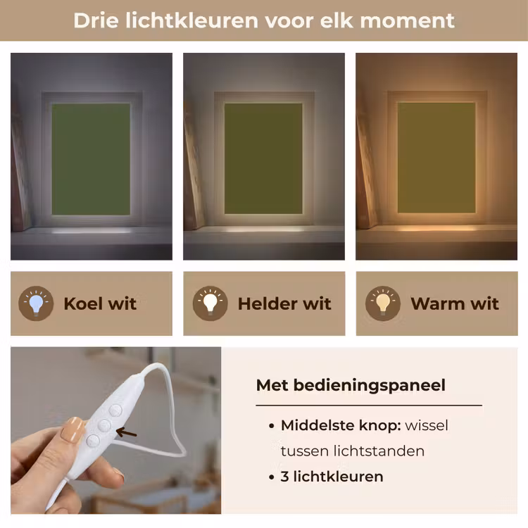 Dark - Olive - Groen Light Box met kabel (Wandlamp) klein 929 -USP_lichtkleurNL
