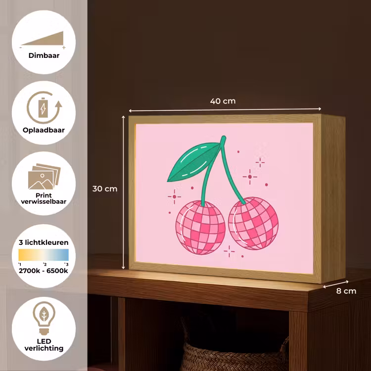Decoratie - Disco-bal - Feest - Roze Light Box met batterij (Wandlamp) middel -USP_websiteoverzichtNL