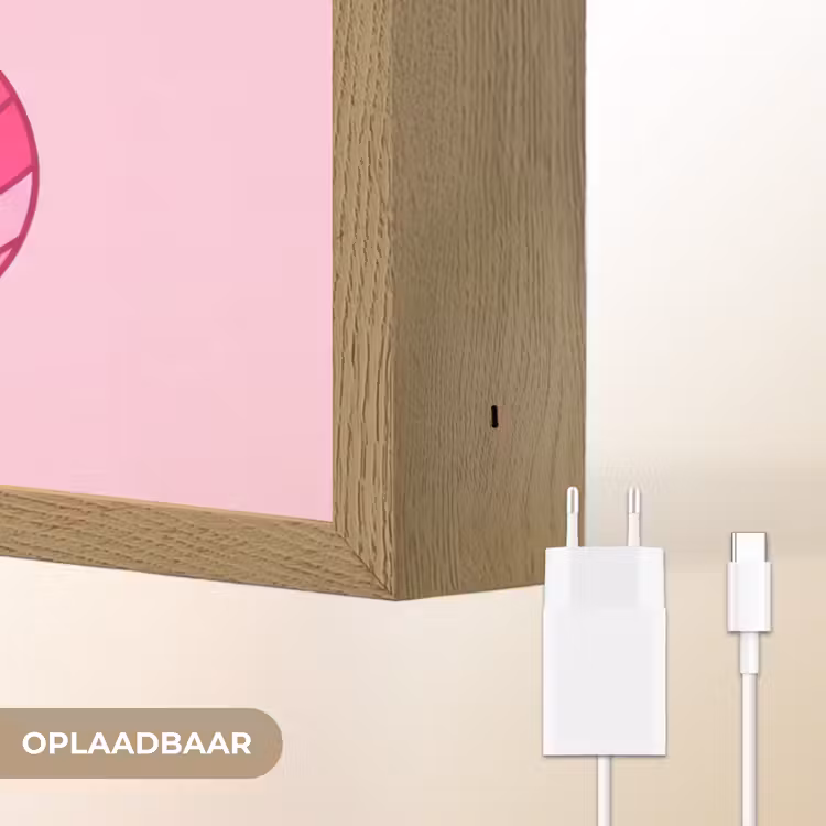 Decoratie - Disco-bal - Feest - Roze Light Box met batterij (Wandlamp) middel -USP_websiteoplaadbaarNL
