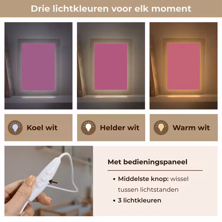 Deep - Magenta - Paars Light Box met kabel (Wandlamp) klein 929 -USP_lichtkleurNL
