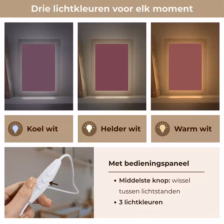 Deep - Plum - Paars Light Box met kabel (Wandlamp) klein 929 -USP_lichtkleurNL