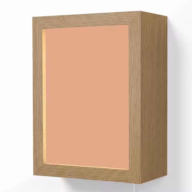 Desert - Coral - Koraal Light Box met kabel (Wandlamp) klein 929 -3d