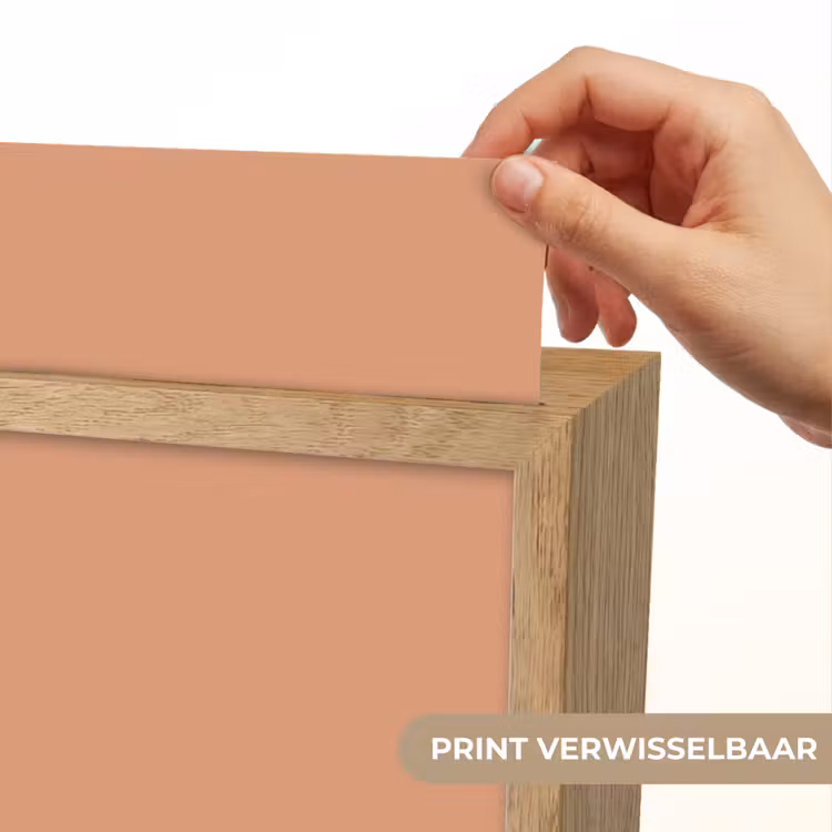 Desert - Coral - Koraal Light Box met kabel (Wandlamp) klein 929 -USP_websiteprintNL