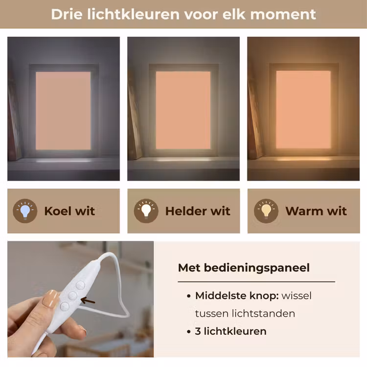 Desert - Coral - Koraal Light Box met kabel (Wandlamp) klein 929 -USP_lichtkleurNL