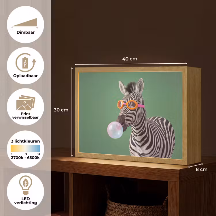Dier - Bril - Bel - Modern - Groen Light Box met batterij (Wandlamp) middel -USP_websiteoverzichtNL