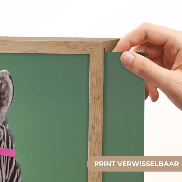 Dier - Bril - Bel - Modern - Groen Light Box met batterij (Wandlamp) middel -USP_websiteprintNL
