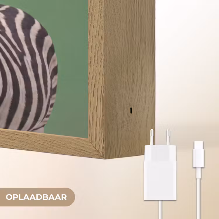 Dier - Bril - Bel - Modern - Groen Light Box met batterij (Wandlamp) middel -USP_websiteoplaadbaarNL