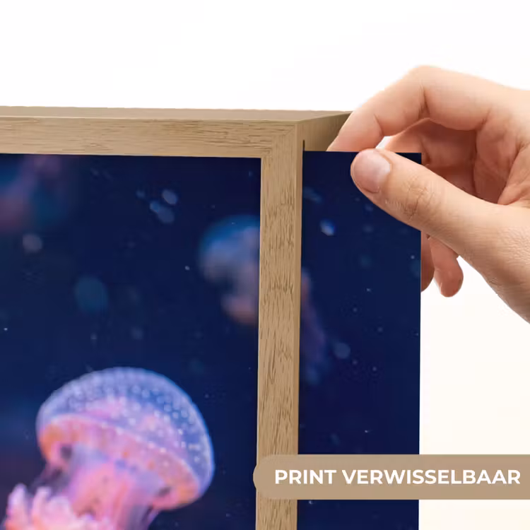 Dier - Onderwater - Natuur - Roze - Mysterieus Light Box met batterij (Wandlamp) middel -USP_websiteprintNL